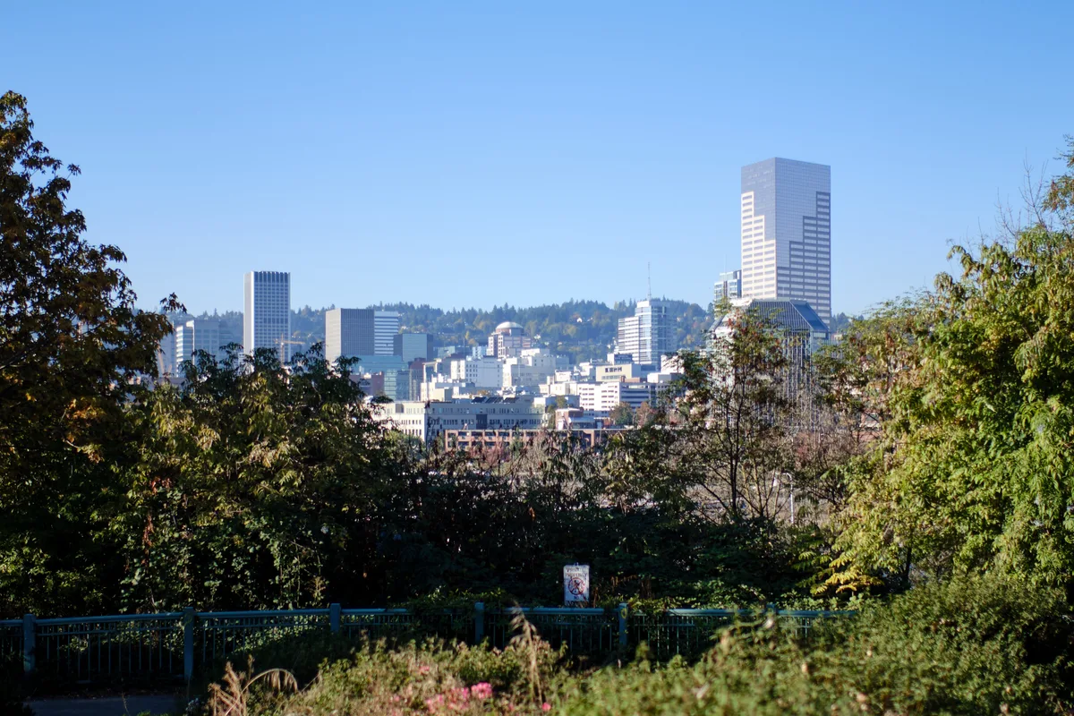 Downtown Portland's gleaming towers emerge through a verdant foreground of mature trees and ornamental plantings, captured from an elevated vantage point in the Lloyd District. The city's architectural crown jewels, including prominent high-rises, catch the warm afternoon light against a crystalline blue sky, while forested hills roll beyond the urban core. A blue metal railing frames the intimate garden viewpoint, creating layered depth between the lush immediate landscape and the distant metropolitan silhouette.