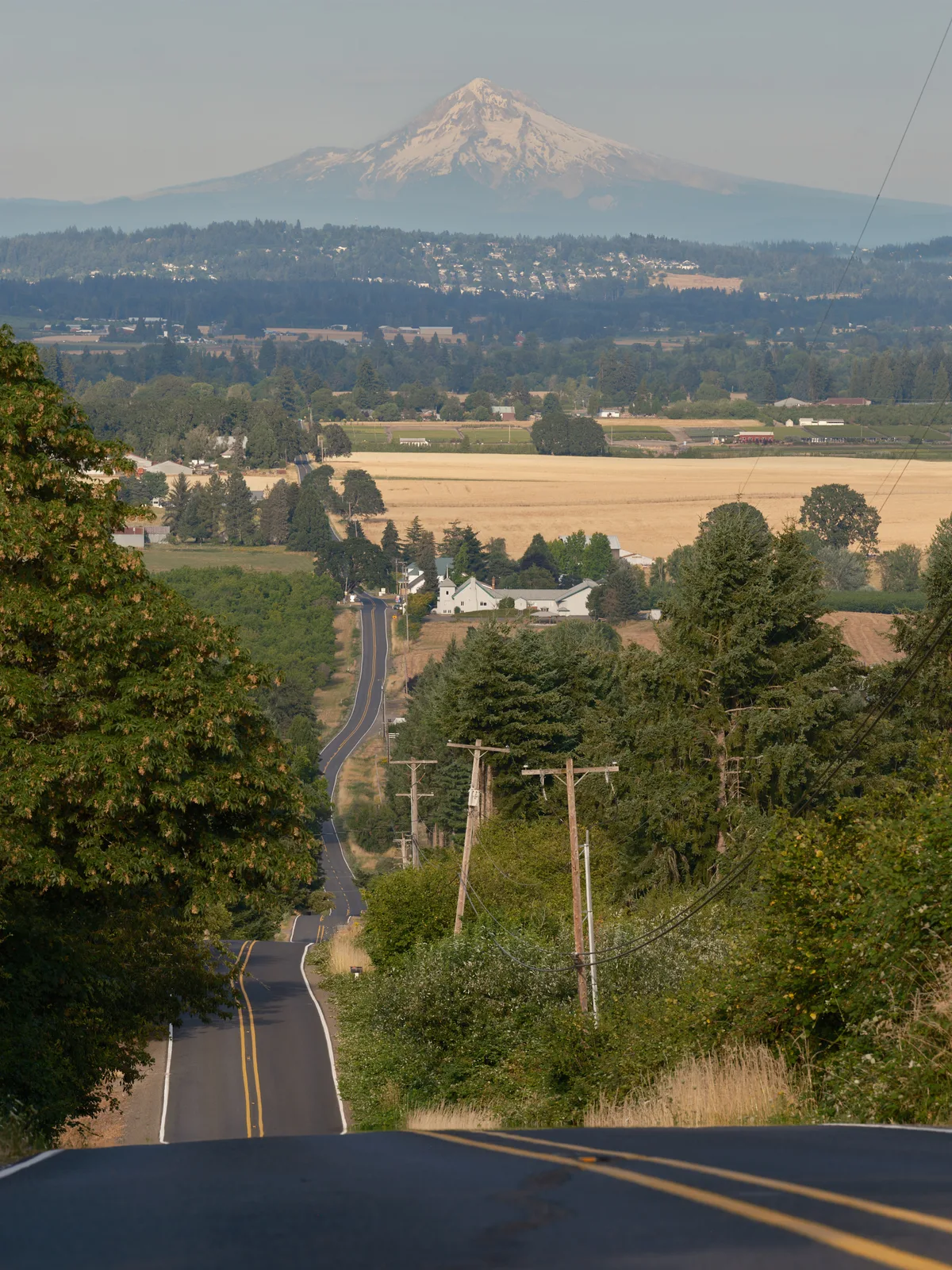A scenic view down a winding rural road in Laurel, Oregon, with Mount Hood's snow-capped peak visible in the distance. The road descends through rolling agricultural landscape dotted with farm buildings, power lines, and lush green vegetation under warm evening light.