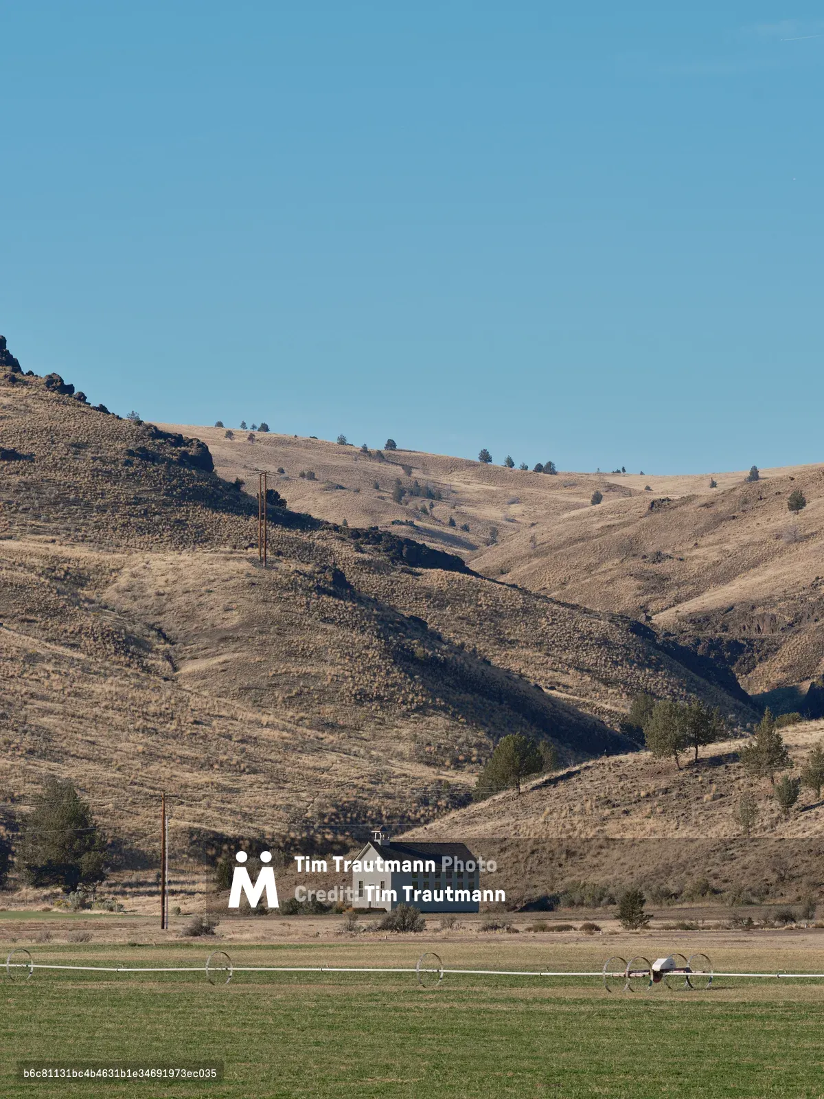 A pristine white schoolhouse with azure trim stands in stark isolation against the sun-scorched hills of Wheeler County, Oregon. The building's bell tower pierces the cerulean sky while golden grasslands cascade down from the ancient volcanic formations of the Clarno unit. Irrigation sprinklers dot the emerald pasture in the foreground, creating a striking contrast between cultivated green and the wild amber slopes that roll endlessly toward the horizon.