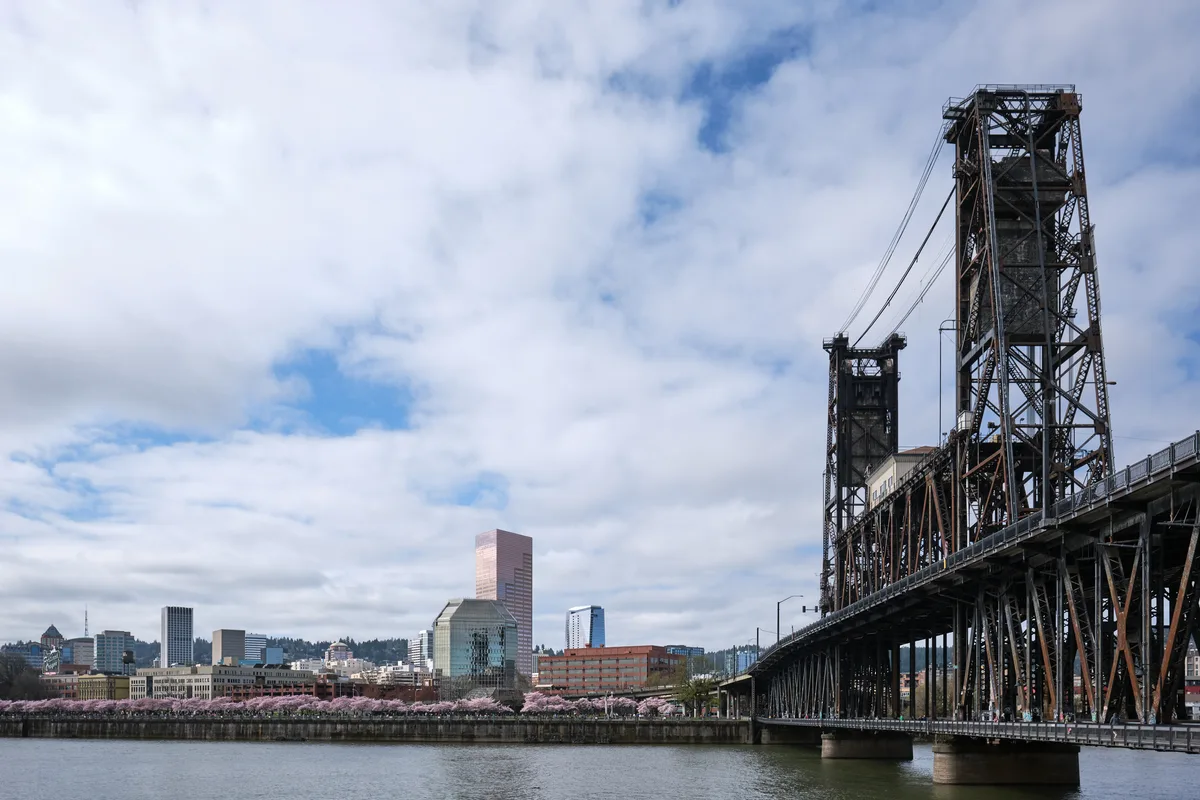 Cherry blossoms in delicate pink clouds line the Tom McCall Waterfront Park along the Willamette River, creating a soft foreground to Portland's iconic Steel Bridge and downtown skyline. The weathered industrial lattework of the historic lift bridge contrasts beautifully with the ephemeral spring blooms, while modern glass towers rise beyond under a contemplative overcast sky. The scene captures Portland's distinctive blend of natural beauty and urban infrastructure, photographed from the Vera Katz Eastbank Esplanade perspective.