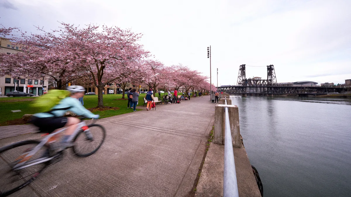 A motion-blurred cyclist speeds past the blooming cherry trees of Tom McCall Waterfront Park, their movement captured against the serene backdrop of the Willamette River and Portland's iconic Steel Bridge. The soft pink canopy of cherry blossoms creates a dreamy foreground while families gather beneath the flowering trees in the golden hour light. The industrial steel framework of the bridge contrasts beautifully with the delicate spring blooms, embodying Portland's harmonious blend of urban infrastructure and natural beauty.
