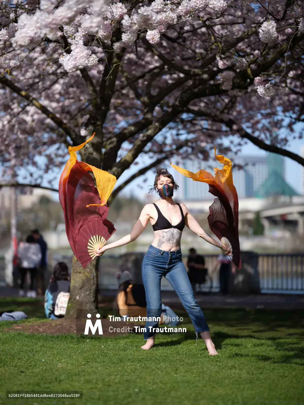 A masked performer executes an expressive dance with flowing silk fans beneath the blush-pink canopy of cherry blossoms at Tom McCall Waterfront Park. The dancer, barefoot on emerald grass, creates dynamic movement with burgundy and golden silk that mirrors the delicate petals overhead. Dappled sunlight filters through the flowering branches, casting gentle shadows while distant park visitors create a soft backdrop of urban spring leisure in Portland's historic Old Town district.