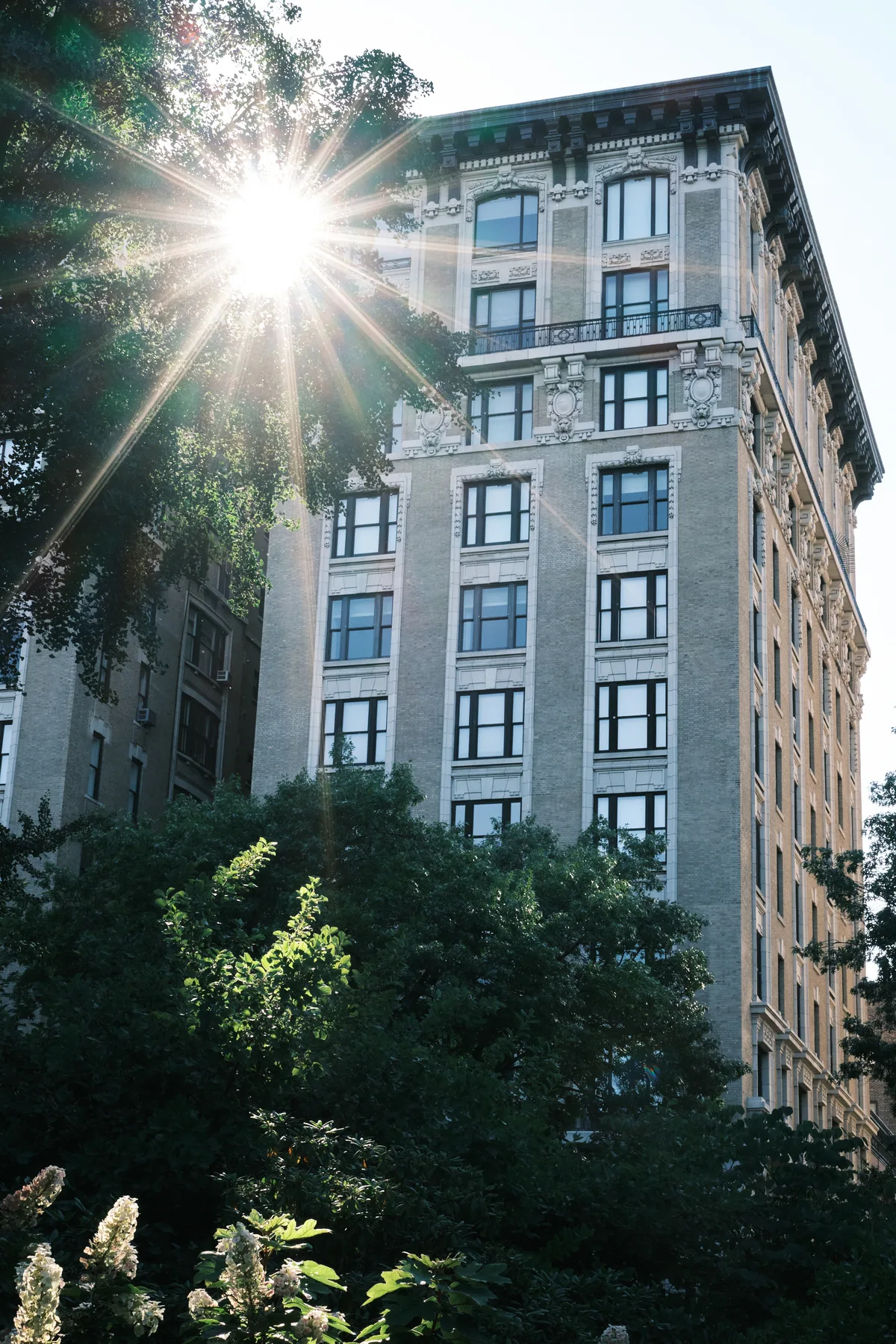 Golden morning light erupts in dramatic sunbeams through the canopy of Central Park's mature trees, illuminating the elegant pre-war limestone facade of a classic Manhattan apartment building. The ornate Beaux-Arts architecture features decorative stonework, symmetrical window bays, and wrought-iron balconies that catch the warm light filtering through verdant foliage. Lush understory plantings frame the composition, creating layers of green that soften the urban grandeur of this iconic New York residential street.