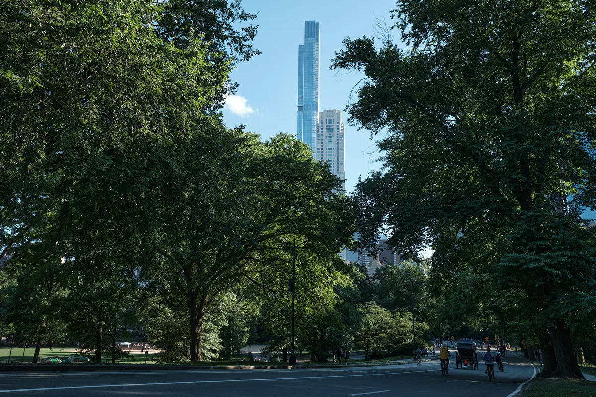 Ancient oaks and maples create a verdant tunnel along Central Park's East Drive, their summer foliage forming a natural frame for Manhattan's gleaming skyscrapers beyond. The dappled afternoon light filters through the dense canopy, casting gentle shadows across the park road where cyclists and pedestrians move leisurely through this green sanctuary. The composition juxtaposes the organic curves of century-old trees against the geometric precision of luxury high-rises, embodying the harmonious coexistence of nature and urbanity that defines Central Park's eastern border.