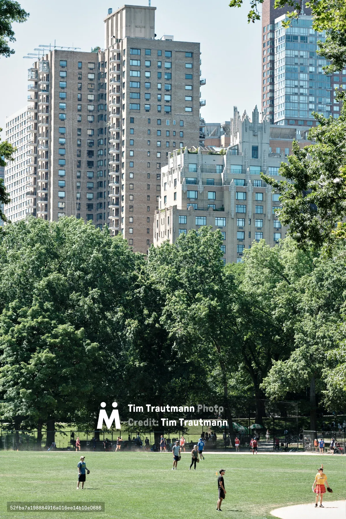 The emerald expanse of Central Park's Great Lawn stretches beneath a canopy of mature oak and elm trees, their full summer foliage creating a natural buffer against Manhattan's towering residential skyline. Scattered figures in casual attire dot the open field, some engaged in leisurely activities while others simply enjoy the respite from city life. The juxtaposition of verdant parkland against the geometric facades of Upper West Side apartment buildings captures the essential character of New York's beloved urban sanctuary, where nature and architecture exist in careful harmony.