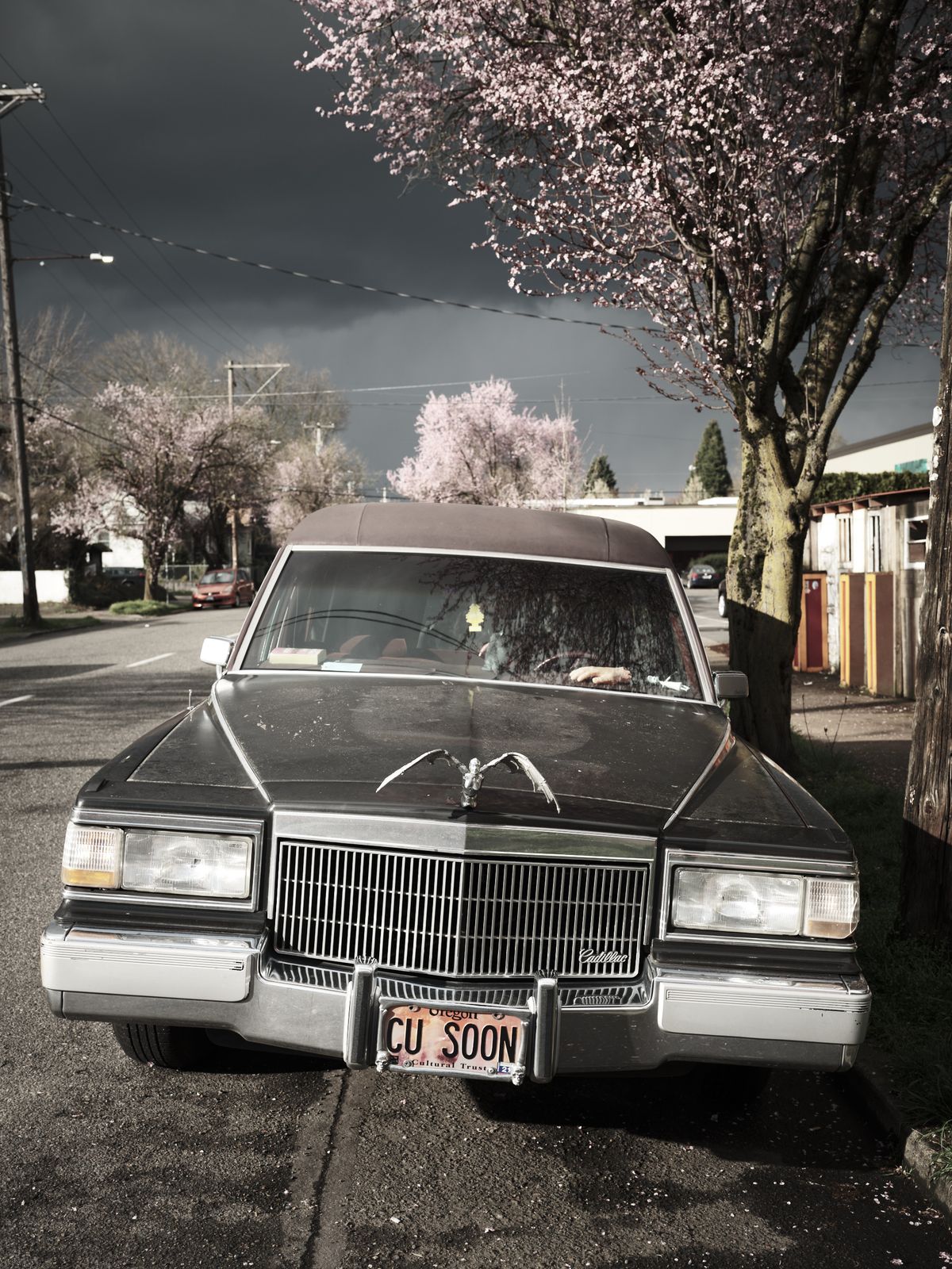 A black vintage Cadillac hearse sedan with the license plate 'CU SOON' is parked on a residential street in Portland's Ladd's Addition neighborhood, surrounded by blooming cherry blossom trees under a dramatic cloudy sky.