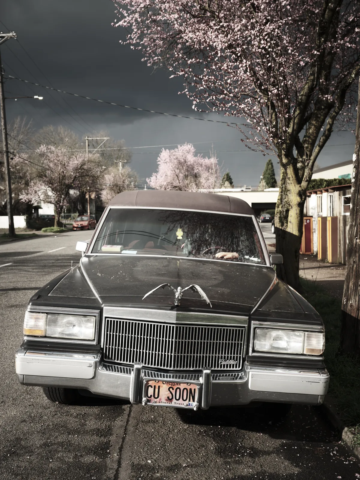 A black vintage Cadillac hearse sedan with the license plate 'CU SOON' is parked on a residential street in Portland's Ladd's Addition neighborhood, surrounded by blooming cherry blossom trees under a dramatic cloudy sky.