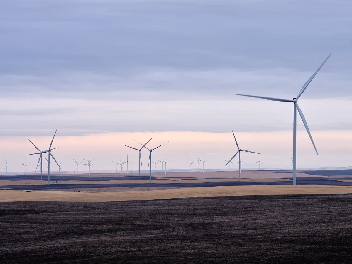Dozens of large white wind turbines spread across rolling agricultural land near Moro, Oregon in Sherman County. In the foreground, alternating bands of dark freshly tilled soil and golden unharvested grain create a patchwork across gently undulating hills. A single turbine dominates the right side of the frame in sharp detail, its blades motion-blurred from rotation, while a long row of additional turbines recedes into the distance across the plateau. The sky is a soft layered blend of grey-blue overcast cloud with a pale pink and lavender glow near the horizon, suggesting either dawn or dusk. The overall mood is quiet and expansive, with muted, cool tones throughout.