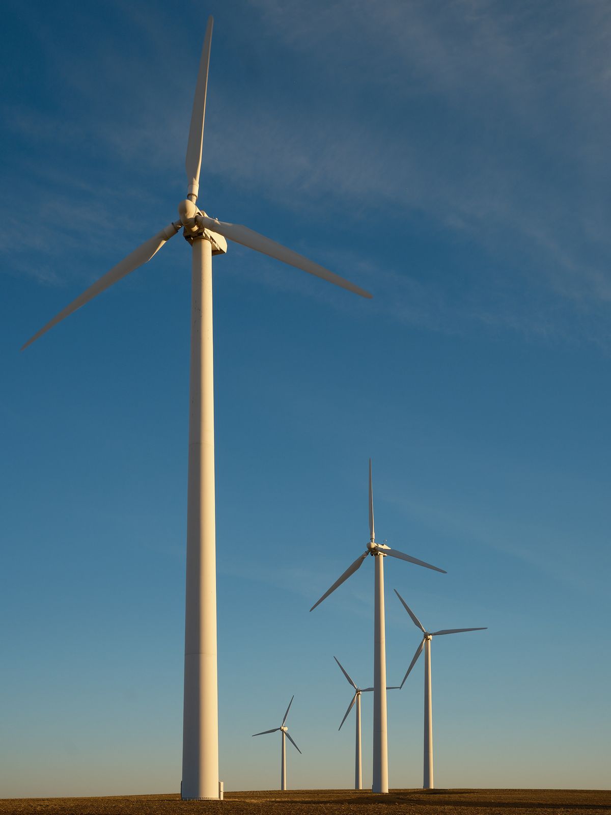 A row of large white wind turbines stretches across the flat, golden high desert landscape near Condon, Oregon. The closest turbine dominates the foreground, its three blades reaching into a vivid blue sky with wispy clouds. Five additional turbines recede into the distance along the horizon, growing progressively smaller. Warm late-day light illuminates the turbines and the dry, harvested farmland at their base.