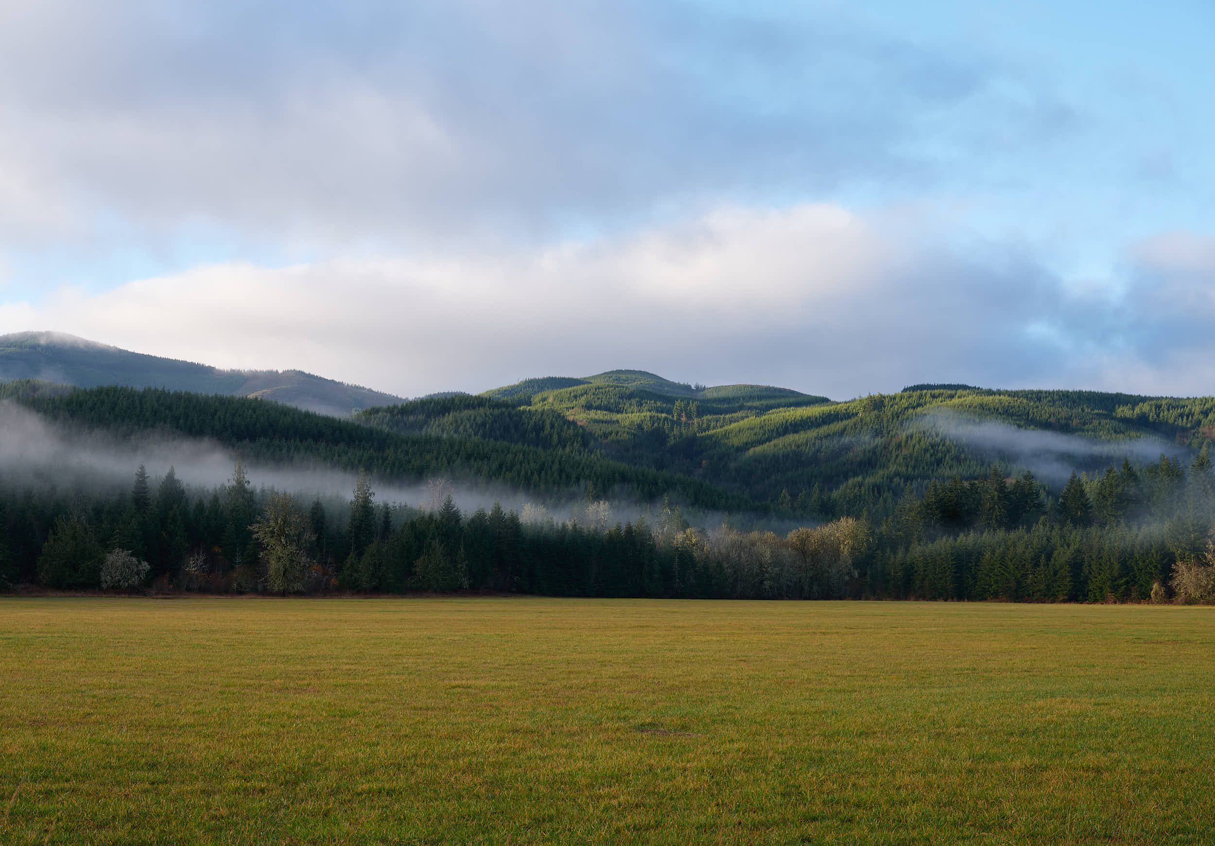The morning landscape near Pe Ell, Washington. Flat meadoes with rolling hills in the background. Low clouds creep over the hills.