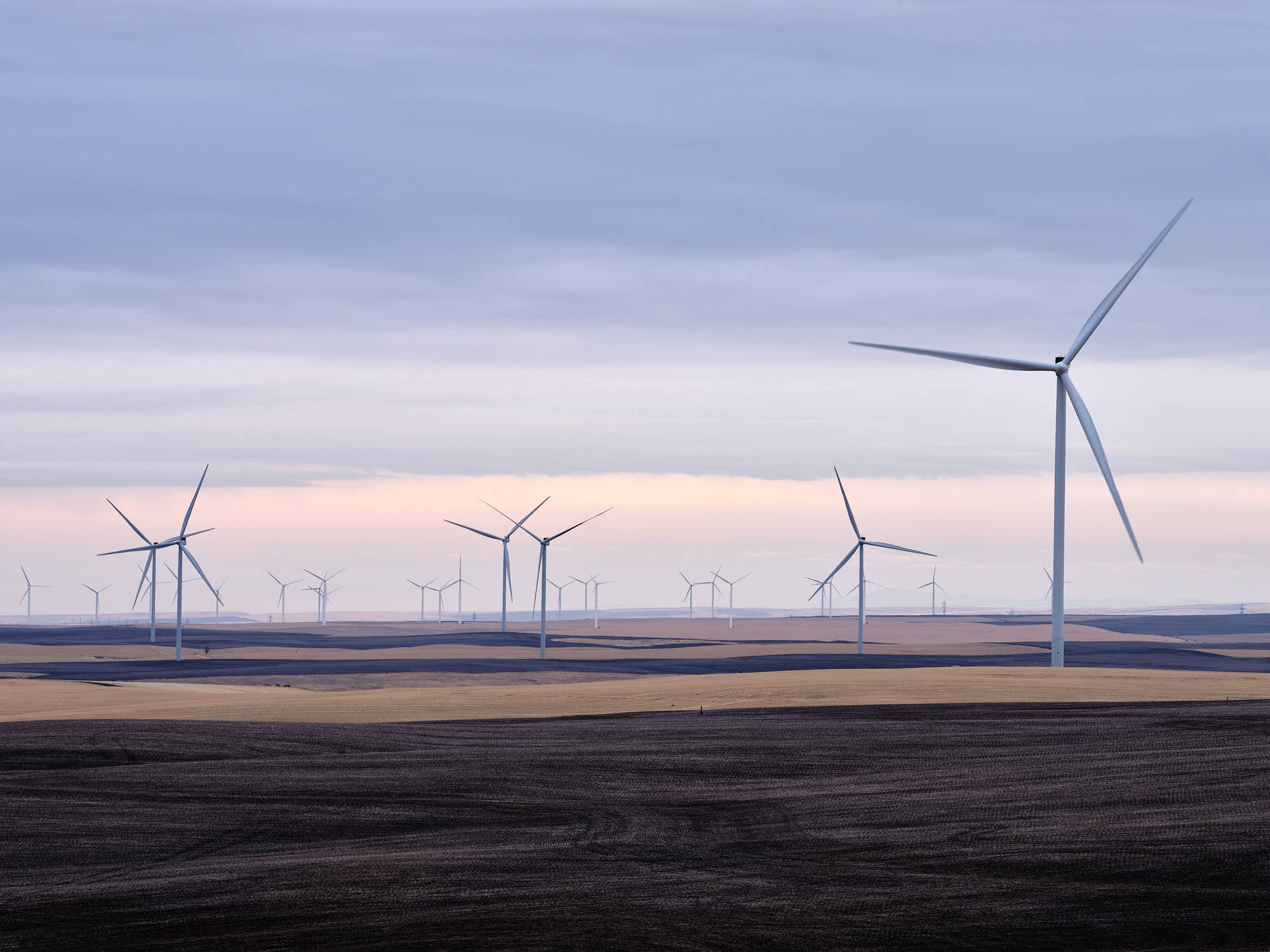 A wind farm near Moro, Oregon.