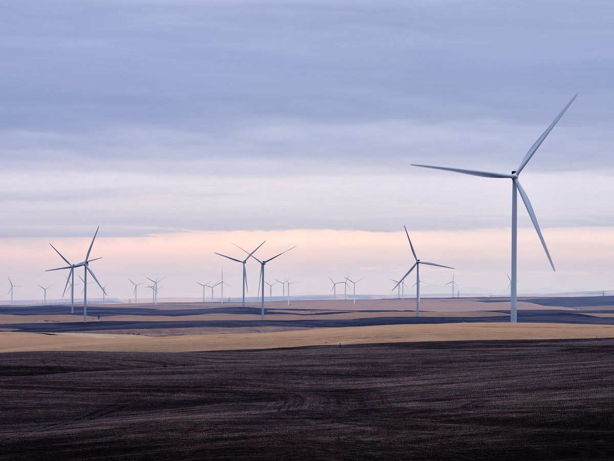 Dozens of large white wind turbines spread across rolling agricultural land near Moro, Oregon in Sherman County. In the foreground, alternating bands of dark freshly tilled soil and golden unharvested grain create a patchwork across gently undulating hills. A single turbine dominates the right side of the frame in sharp detail, its blades motion-blurred from rotation, while a long row of additional turbines recedes into the distance across the plateau. The sky is a soft layered blend of grey-blue overcast cloud with a pale pink and lavender glow near the horizon, suggesting either dawn or dusk. The overall mood is quiet and expansive, with muted, cool tones throughout.