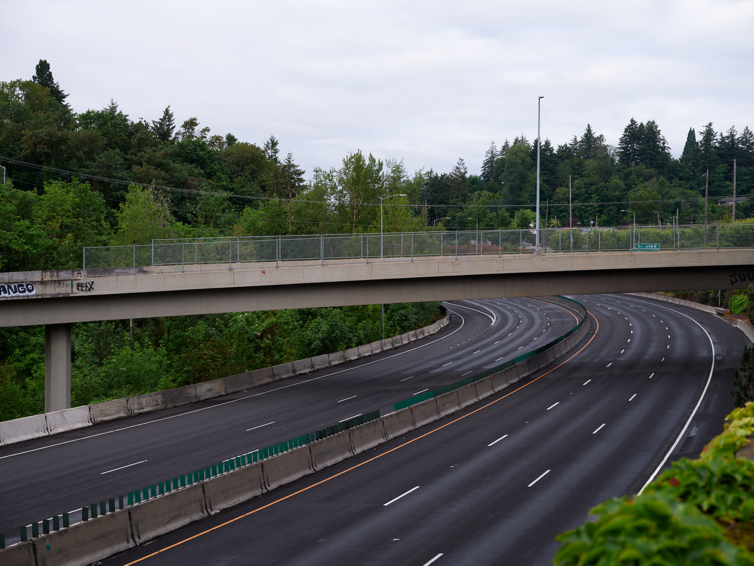 A curved section of multi-lane highway passes under a concrete pedestrian overpass surrounded by lush Pacific Northwest forest. The wet asphalt road features white lane markings and orange striping along the median barrier, with dense green trees creating a natural canopy overhead under an overcast sky.