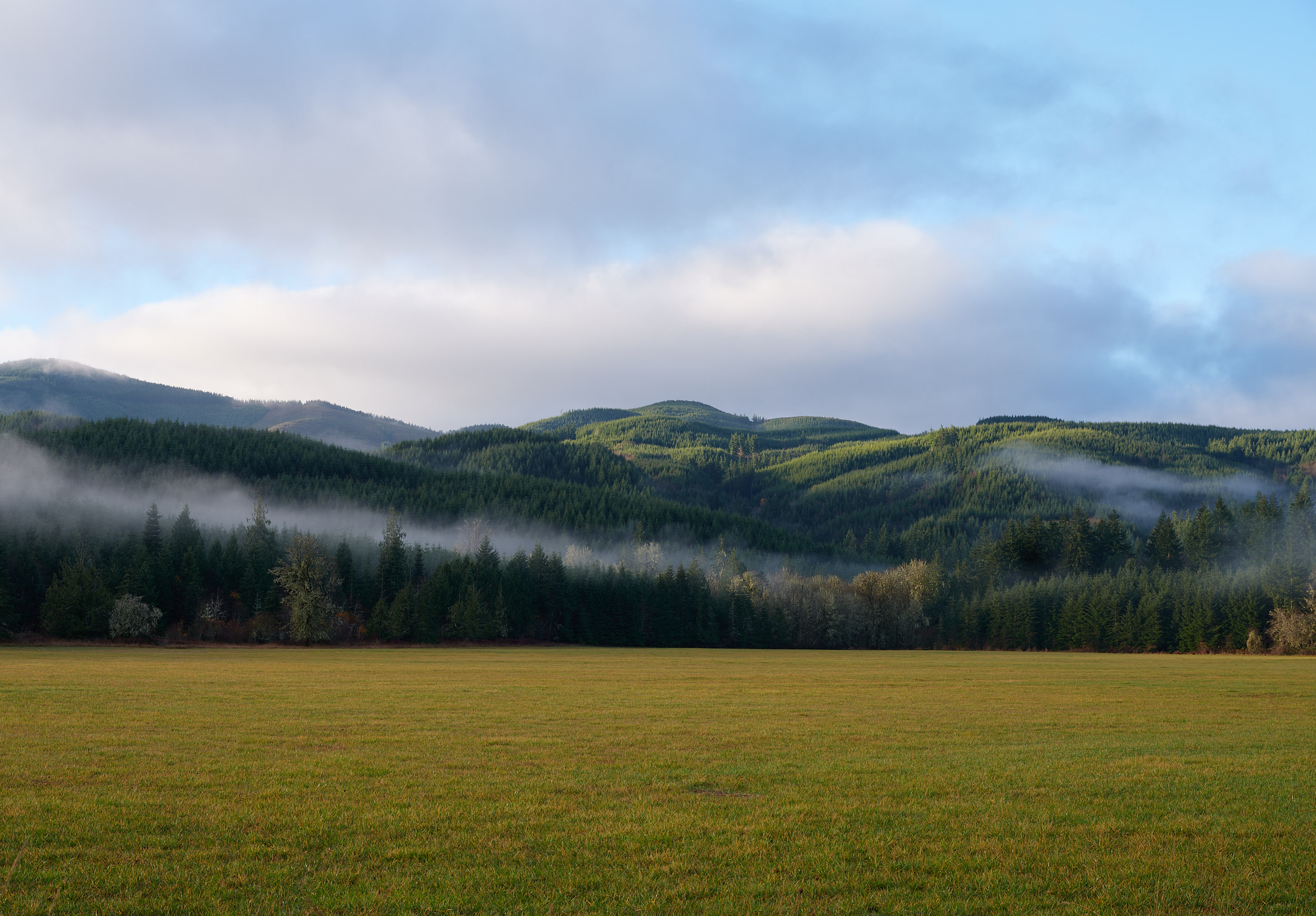 A serene rural landscape near Pe Ell, Washington, featuring a wide flat green pasture in the foreground backed by a dense treeline of evergreen conifers. Low-lying morning fog drifts in ribbons through the valleys between rolling, heavily forested hills. Sunlight catches the tops of the hills, illuminating the bright green tree canopy against a partly cloudy blue sky.
