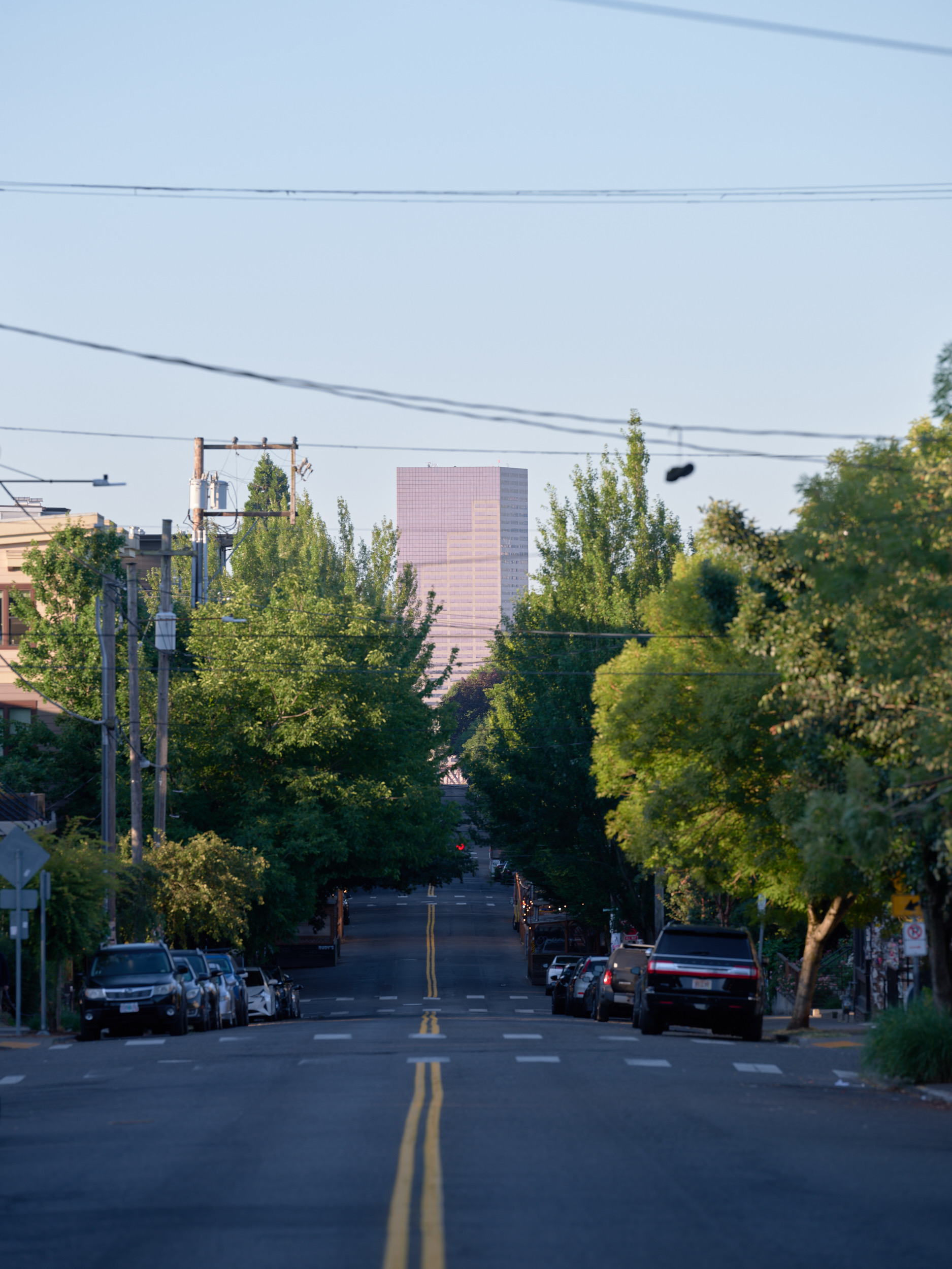 A residential street in Portland, Oregon slopes downward through a canopy of green trees with parked cars lining both sides, power lines overhead, and a distinctive pink high-rise building visible in the distance through the foliage.